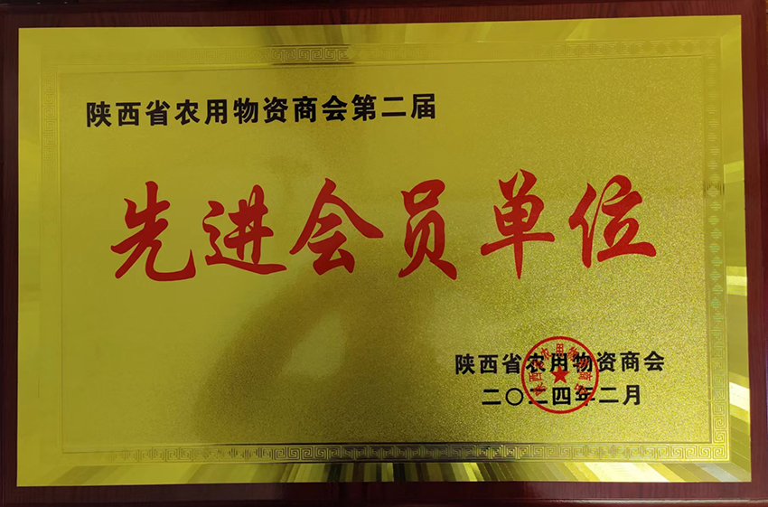 2024�����ʡ�r�Y�̕����M���T��λ